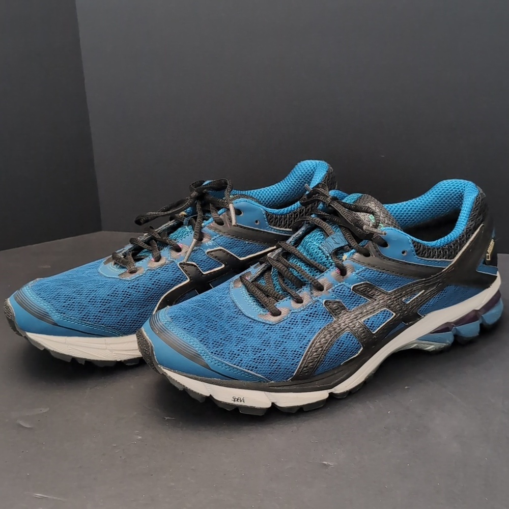Asics Men's GT-1000 GoreTex  Blue Running Shoes,Size 11.